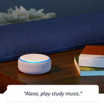3rd Gen Echo - Plum