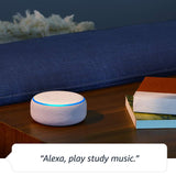 3rd Gen Echo - Plum