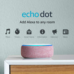 3rd Gen Echo - Plum
