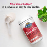 Best Cranberry Pomegranate Flavored Collagen Peptides For Online Sale - Dimdaa